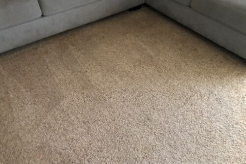 Carpet Cleaning - Ballarat Magnificent Cleaning