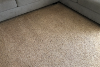 Carpet Cleaning