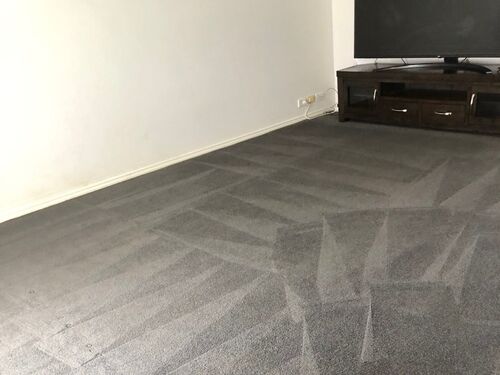 Steam Cleaned Carpet - Ballarat