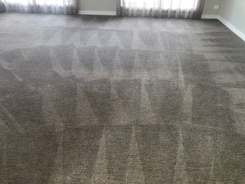 Steam Cleaned Carpet - Ballarat